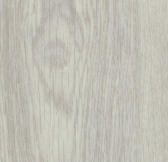 185611_w60286_white giant oak